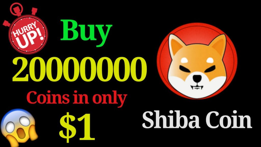 Shiba Inu