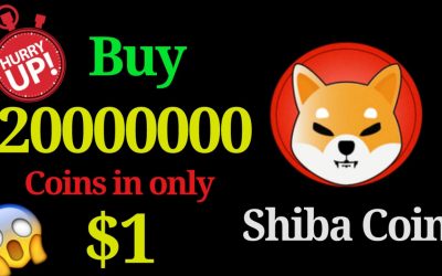 Shiba Inu (SHIB) den nya Dogecoin?