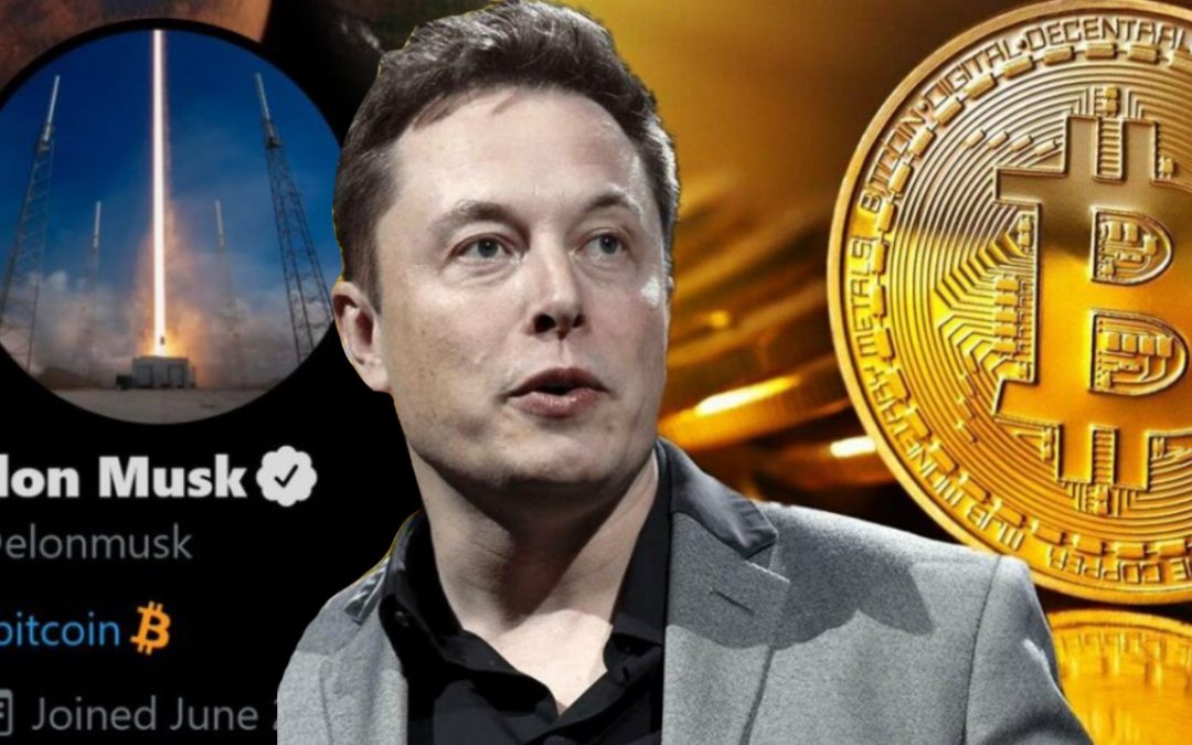Elon Musk Tweets och Bitcoin kursens reaktioner