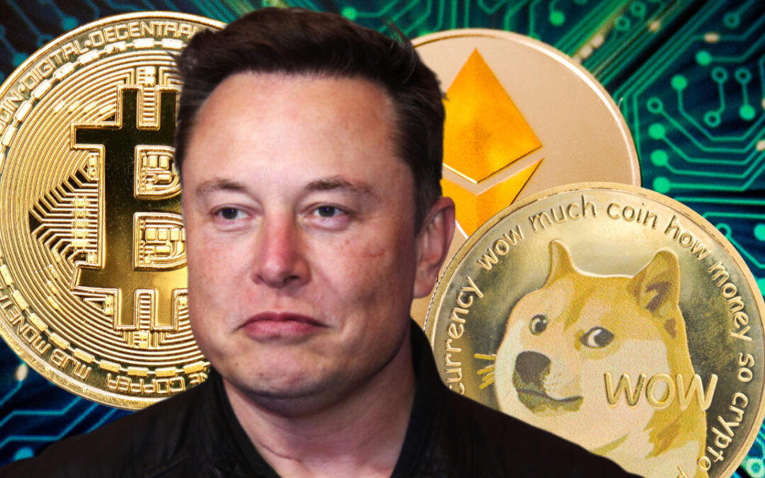 Elon Musk: Dogecoin Måste Bli Snabbare