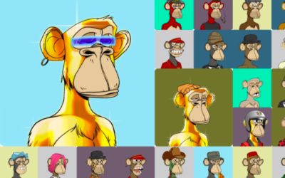 Bored Ape Yacht Club Lanserar Egen Krypto