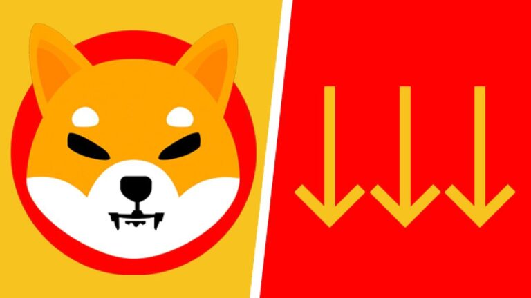 Shiba Inu Kursen Rasar