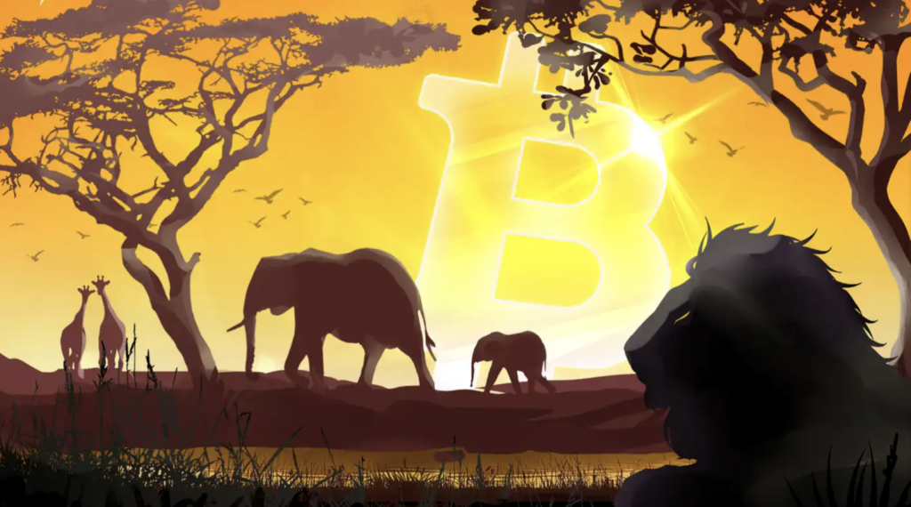 Därför Lyfter Afrika På Grund Av Bitcoin Revolutionen