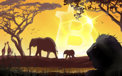 Därför Lyfter Afrika På Grund Av Bitcoin Revolutionen