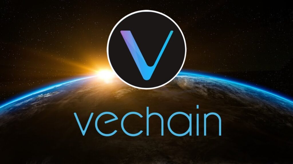 Vechain Foundation – Spännande Coin Inför 2022