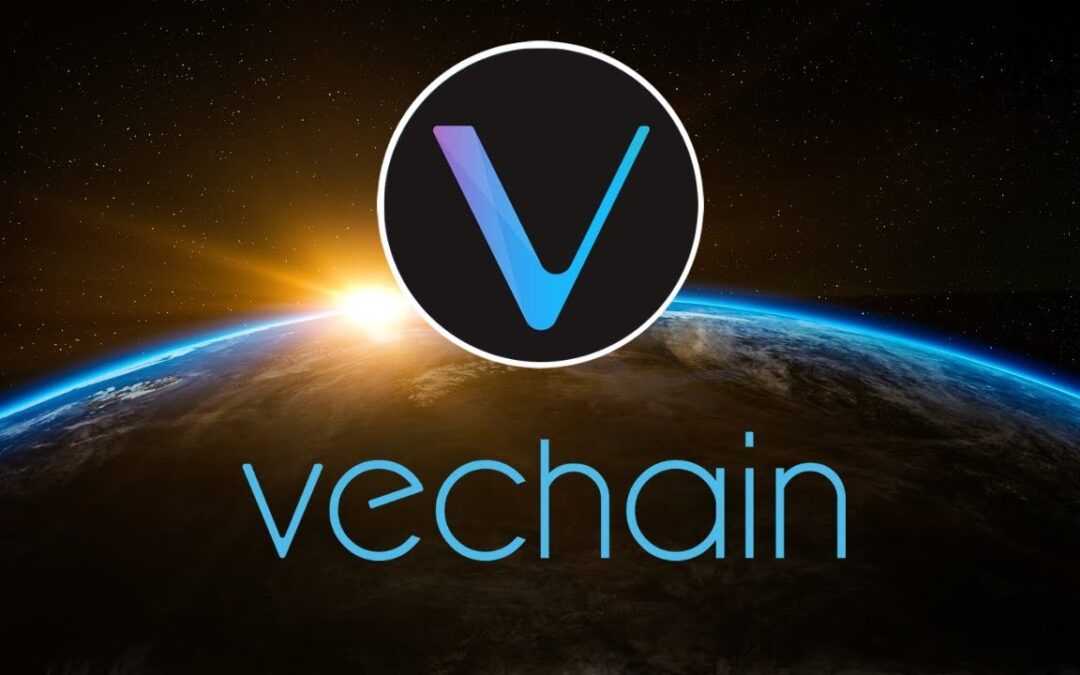 Vechain Foundation – Spännande Coin Inför 2022