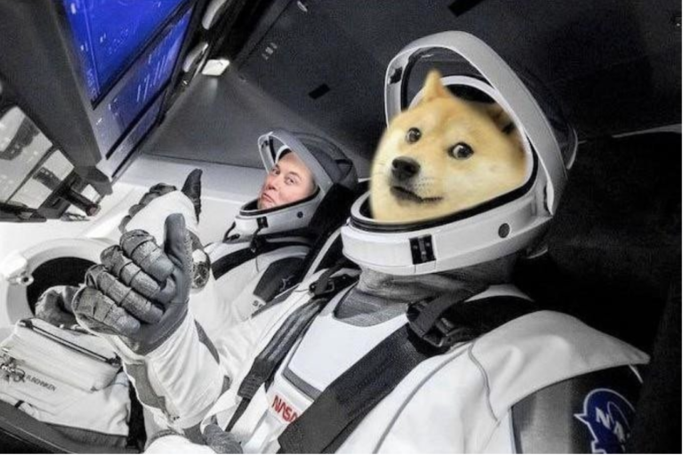Tesla Tillåter Köp i DOGE