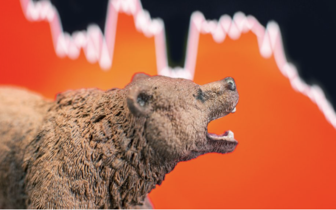 Krypto Kurserna Rasar – Liksom Krypto Aktierna