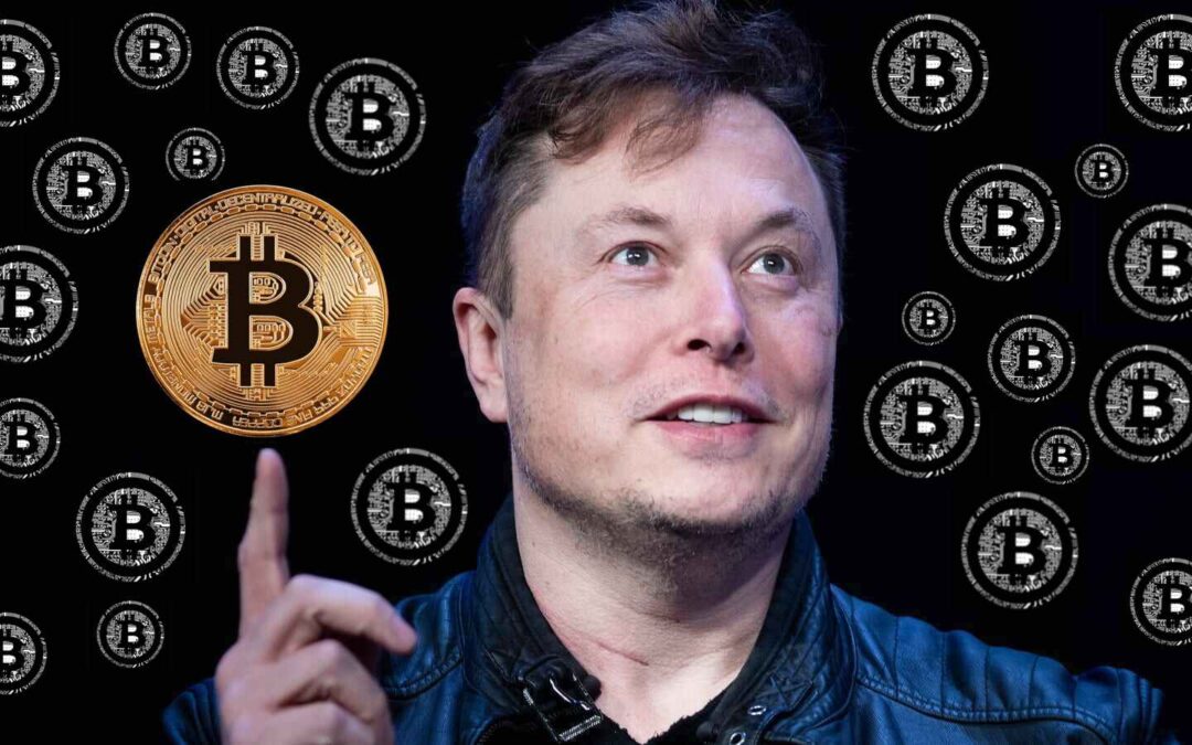 Elon Musk Säljer Inga Bitcoin Nu När Inflation & Recession Väntar