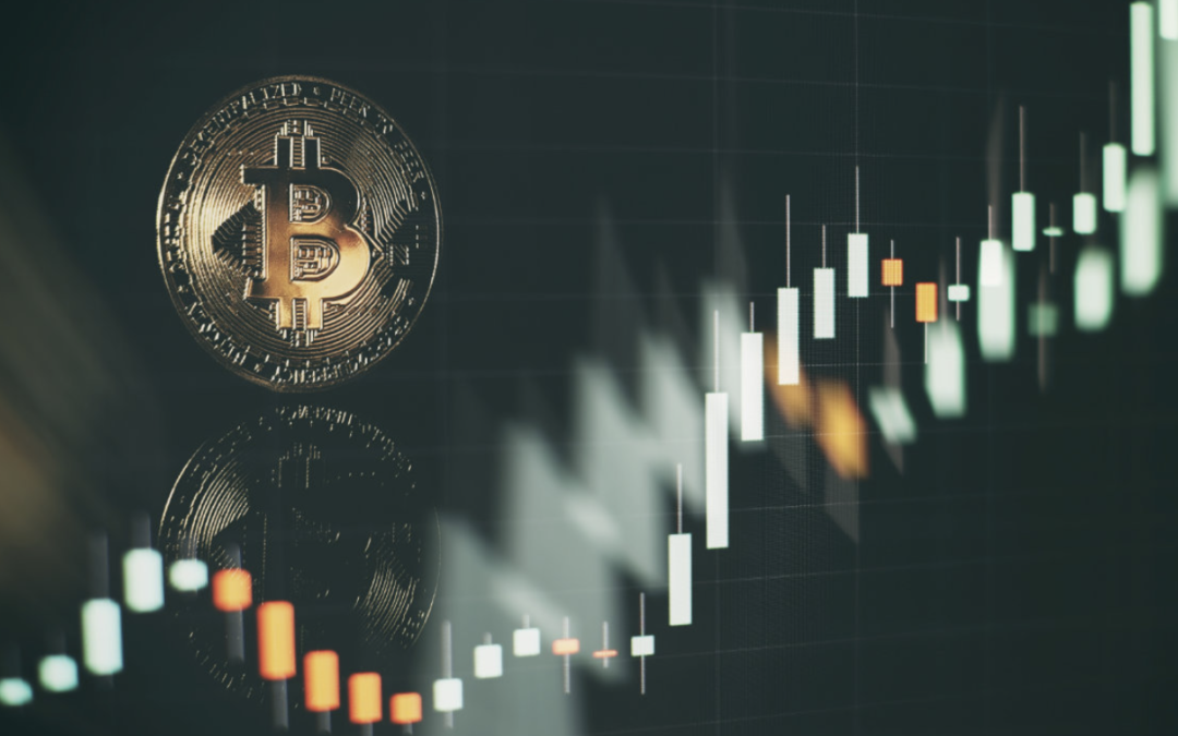 Skybridge Capital Grundare: Bitcoin Kan Nå 500 000 Dollar