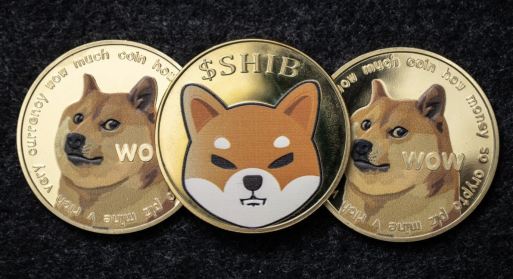 Dogecoin Har Tappat 82% Sedan i Maj 2021 - Haussen Tycks Vara Över