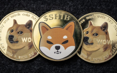 Dogecoin Har Tappat 82% Sedan i Maj 2021