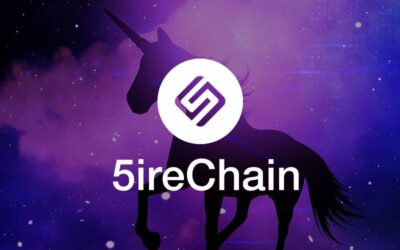 5ire Är Indiens Senaste Krypto Unicorn – Startade För 11 Månader Sedan…