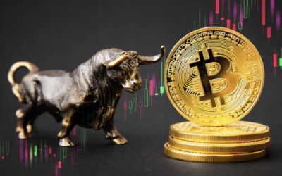 Skybridge Capital: Bitcoin Kan Kosta 300k USD Inom Några År