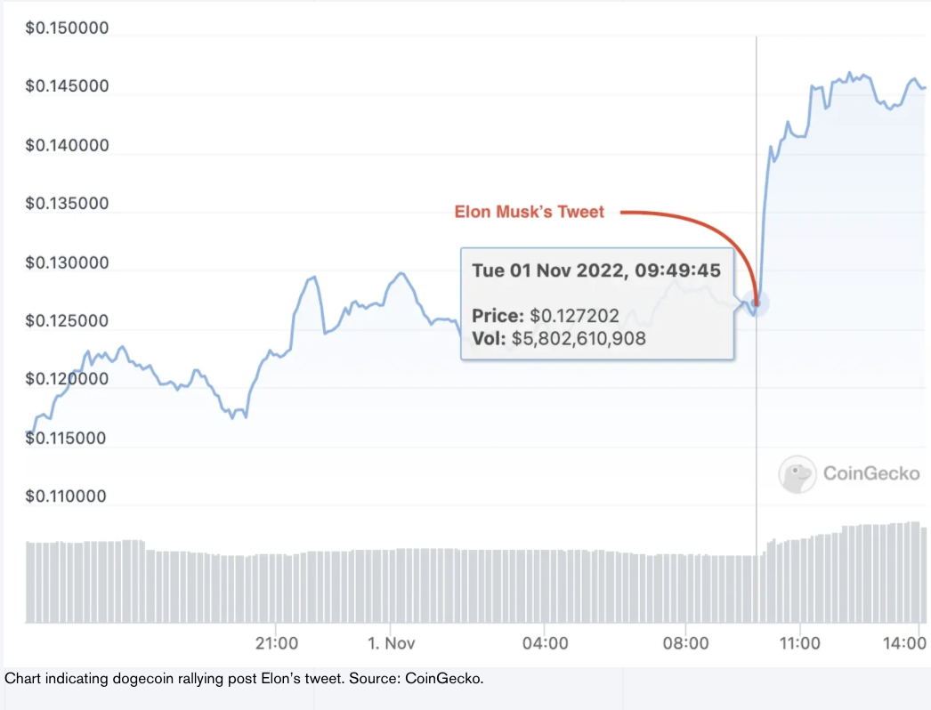 Elon Musk Tweetar & Dogecoin Rusar