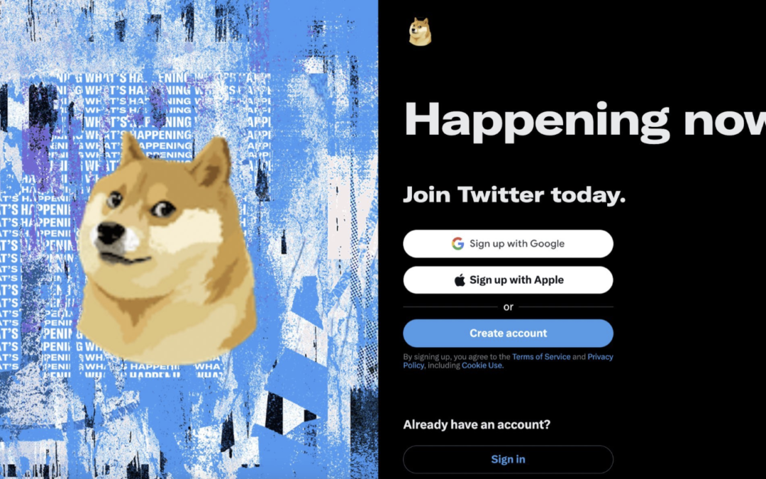 Twitter Byter Logo Till Dogecoin – Doge Kursen Rusar… Såklart