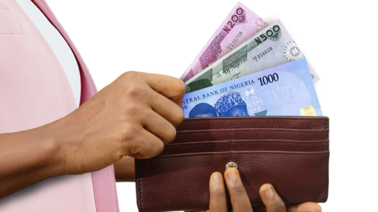 Central Bank of Nigeria Stämd För Att ”Dollarisera” Landet