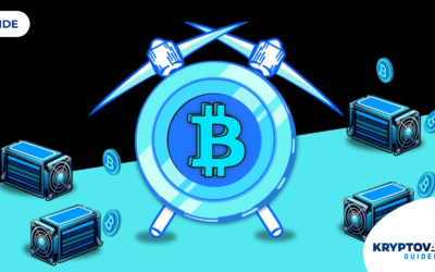 GUIDE: Hur Minear Man Bitcoin?