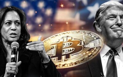 Arthur Hayes: Bitcoin Kommer Stiga Oavsett Om Trump Eller Harris Vinner