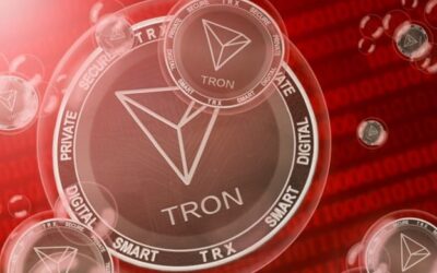 Nytt All Time High för TRON
