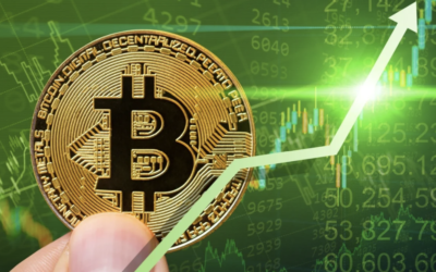 Bitwise: vi står inför en enorm Bullmarknad i krypto nu