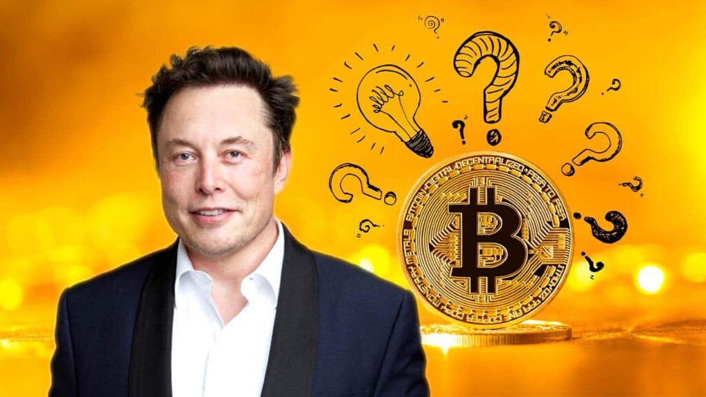 Är Elon Musk på väg att bli bitcoin maximalist?
