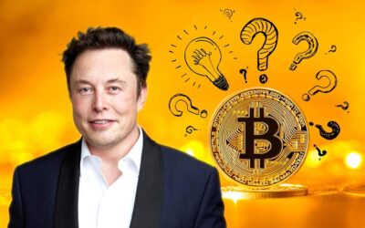 Är Elon Musk på väg att bli bitcoin maximalist?