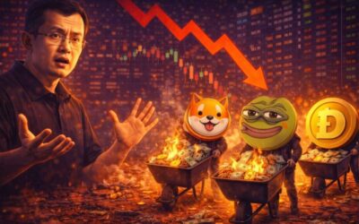 CZ varnar för meme coin och påpekar att hans tweets inte skall missförstås