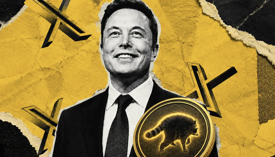Jimothy the racoon stiger på Elon Musk