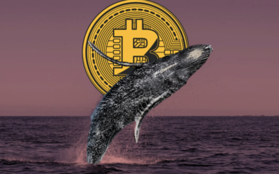 Bitcoin Val från 2012 flyttar plötsligt 13,7 miljoner dollar