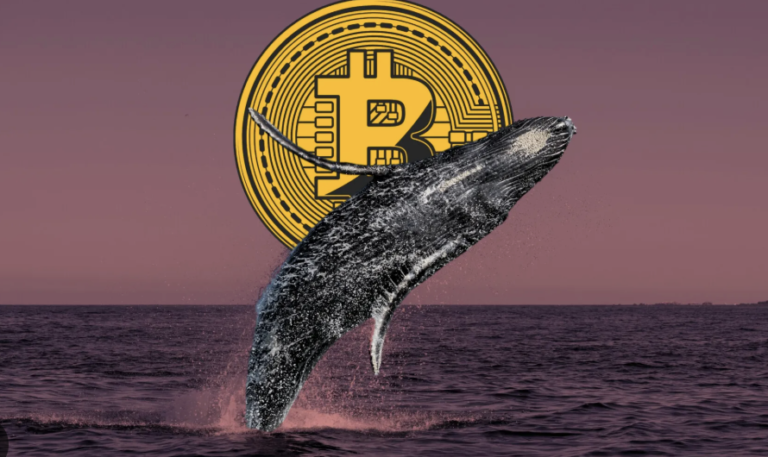 Bitcoin Val från 2012 flyttar plötsligt 13,7 miljoner dollar