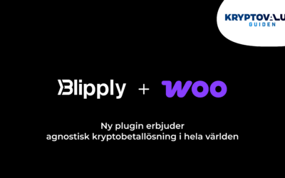 Blipply har lanserat WooCommerce plugin för e-handlare i hela världen