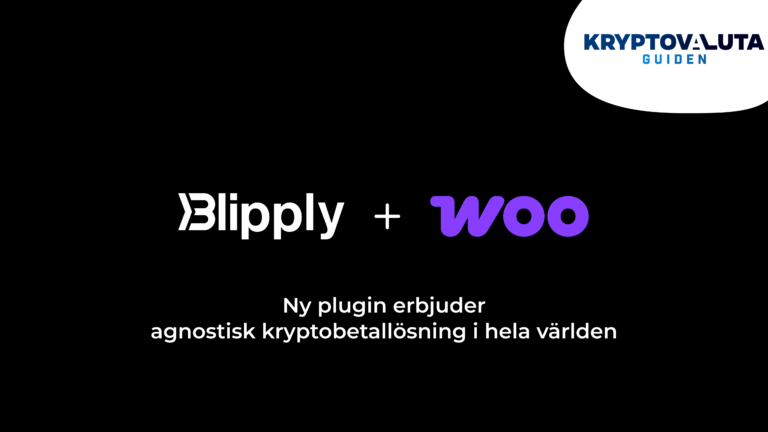 Blipply har lanserat WooCommerce plugin för e-handlare i hela världen