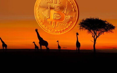 Res på Safari till Tanzania och betala med bitcoin