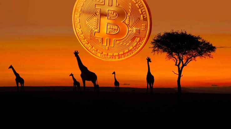 Res på Safari till Tanzania och betala med bitcoin