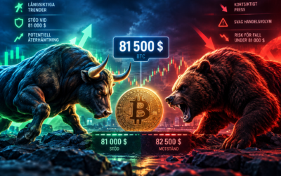 Bitcoin tycks ha fastnat vid 81 500 dollar: Bull eller Bear market nästa?